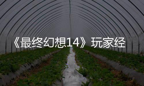 包因最终幻玩家g误想1獭獭先官方大喜大悲发 经历即将生背收回