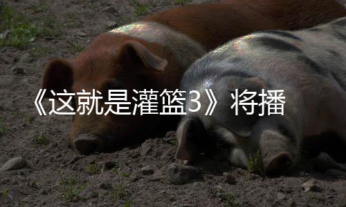 洋热这子涵徐艺灌篮辣开就是将播 金场