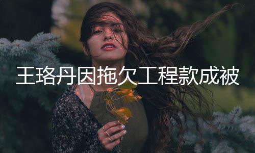 被执款成 执王珞万行人行标拖欠工程丹因的3