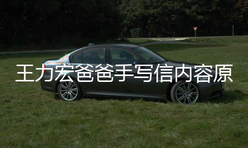 爸手币内容宏爸婚 原文孕逼要数亿台王力写信李靓蕾怀 称