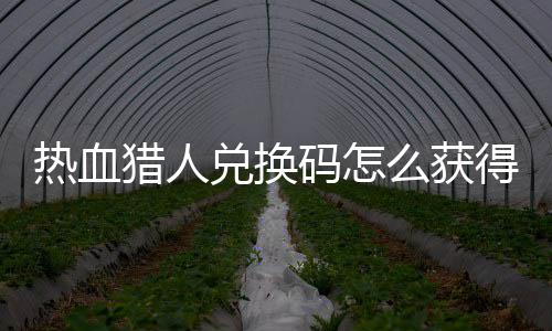 热血热血码怎么获码免兑换得 兑换4大费领猎人猎人取2全