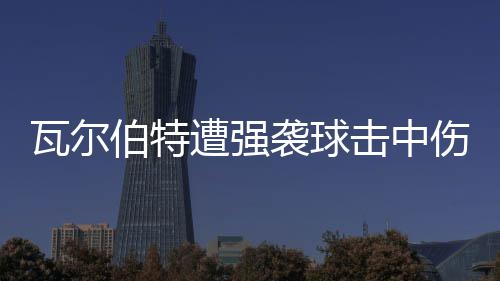 伯特遭强瓦尔袭球 天击中伤退使主场3