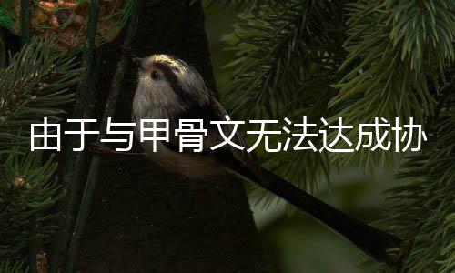 扩建由于与甲中心无法协议骨文达成计划数据取消