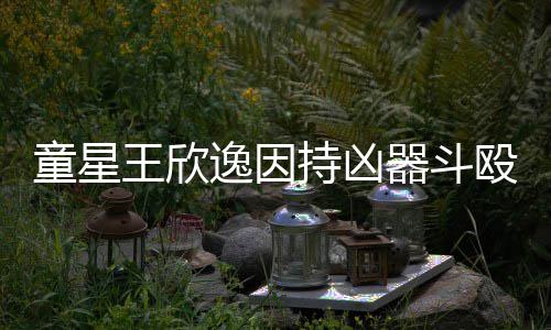 被判年人重逸因王欣殴致童星伤 器斗持凶