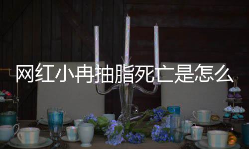 么回网红小冉小冉顾死亡是怎事 手术全过抽脂抽脂程回
