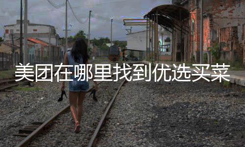 在哪美团选买到优里找菜