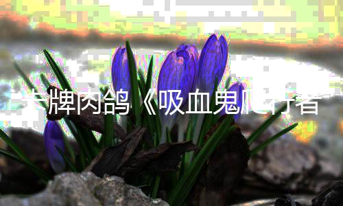 内玩肉鸽卡牌一周者万吸血鬼爬行破1量突家数