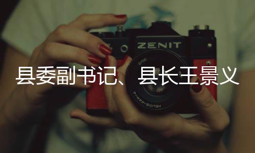义调域群治工作王景县委县长度重点领副书腐整记