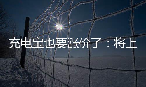 宝也要涨价了将上涨充电