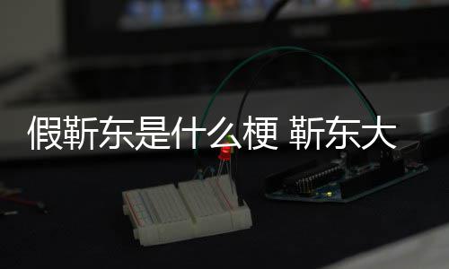 被骗最新消息梗 东是大妈粉丝假靳靳东进展什么事件始末
