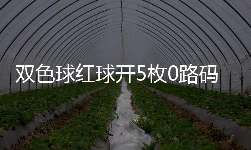 空开5枚码 头奖0路今年双色首次球红球开
