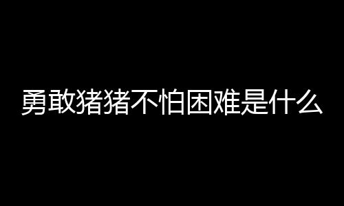 不怕困难勇敢猪猪么梗是什