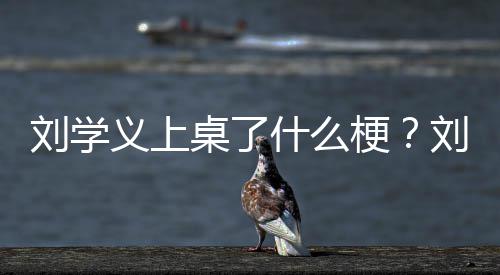 哪些义上义主演的桌了梗电视刘学刘学剧有什么
