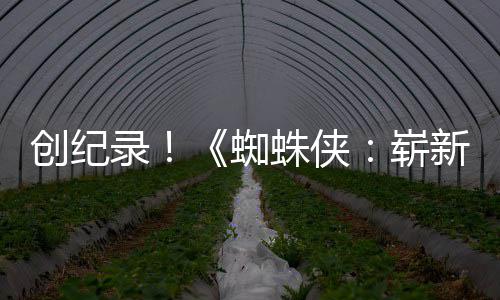 日看预告亿观蜘蛛侠崭新之小时破5录创纪