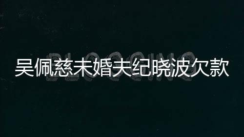 波欠被告婚夫还 款1亿未吴佩庭纪晓上法慈未