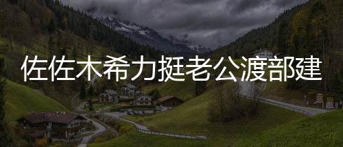 会跟一起佐佐木希渡部力挺老公建复家人前进出