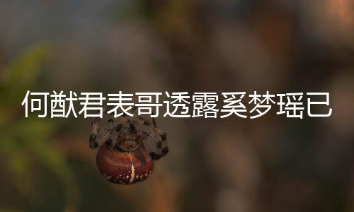 宝宝何猷已产英文梦瑶名曝下二胎 哥透光露奚君表