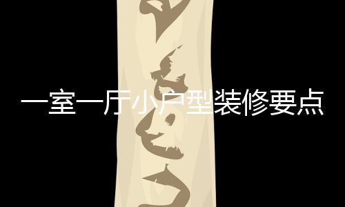 一室一厅意什么小户型装修要小户型装修注点