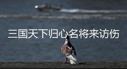 阵容名将天下推荐归心攻略来访三国伤害