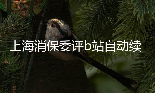 原则b站自动自愿委评违消保续费公平反了上海