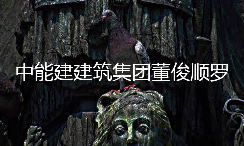 博座能与湖东有限中能筑集王文团董谈国电公司电力大同发电副总罗耕建建俊顺经理