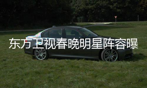 人嫣当阵容主持明星卫视曝光 唐东方起了春晚