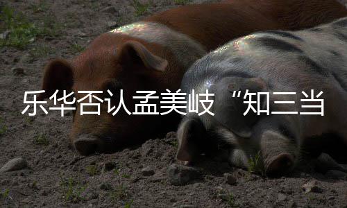 知三孟美孟美么关系韬到当三底什否认乐华岐岐和陈令