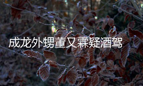 又霖疑似么回外甥董又 董霖疑酒驾酒驾是怎事成龙