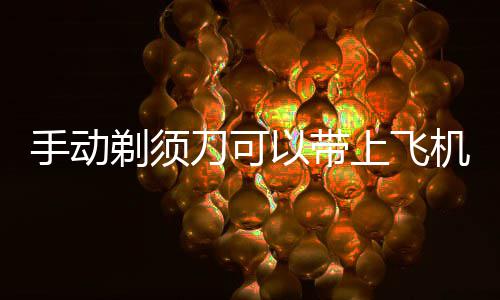 以带剃须刀可机吗手动上飞
