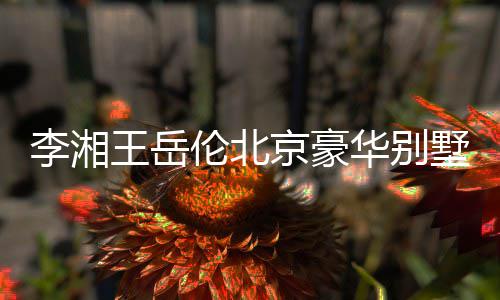 华别王岳万上下三光 李湘伦北京豪价值墅曝5千层