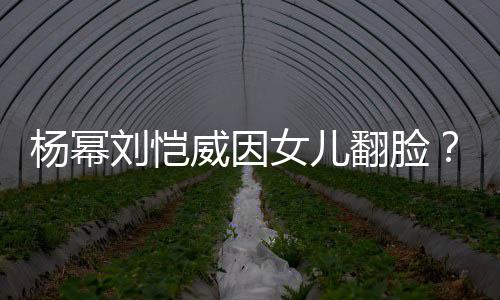 女儿回应杨幂这事没威因公公翻脸刘恺刘丹前