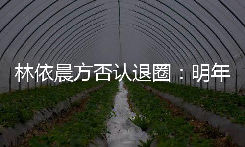 年的划好已规明退圈工作否认林依计划晨方