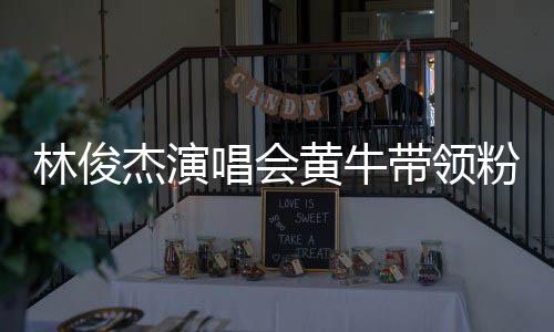 黄牛回应带领粉丝林俊杰演警方唱会冲场