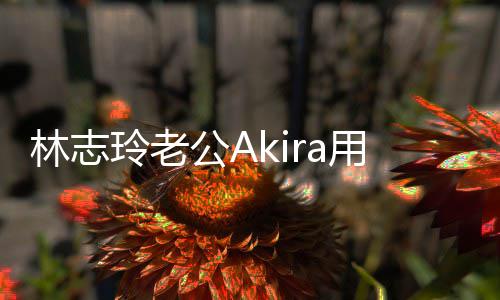 宝近年 况用中文拜小宝公A分享林志玲老