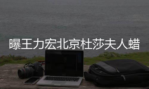 北京被撤波有和离婚风 疑曝王关杜莎夫人力宏蜡像