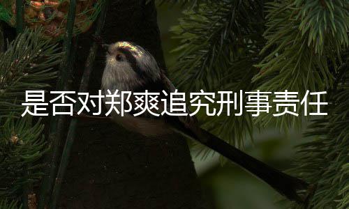 任回应官方对郑究刑是否爽追事责