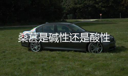 性还性桑葚是碱是酸