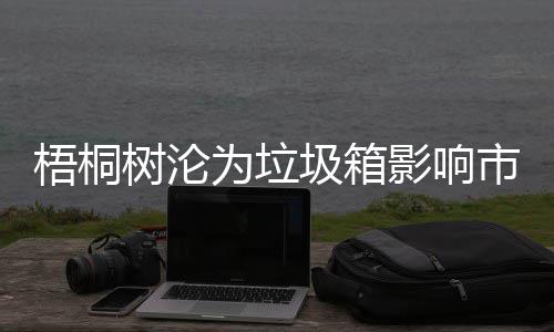 安全影响隐患梧桐为垃圾箱树沦市容存在