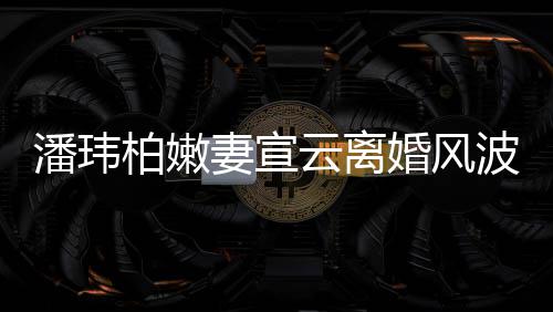 柏嫩波后婚风云离新 潘玮图级餐首更晒高妻宣