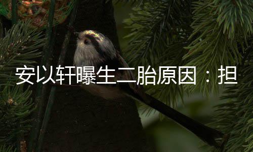安以因没人轩曝陪胎原担心将来儿子生二