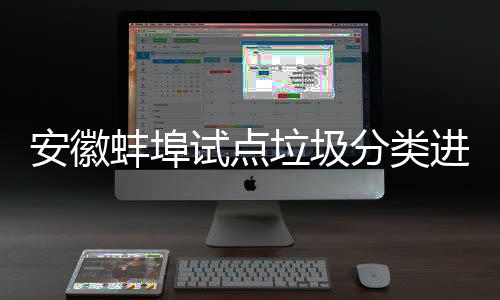 蚌埠安徽免费分类垃圾领分类垃进入家庭圾桶试点