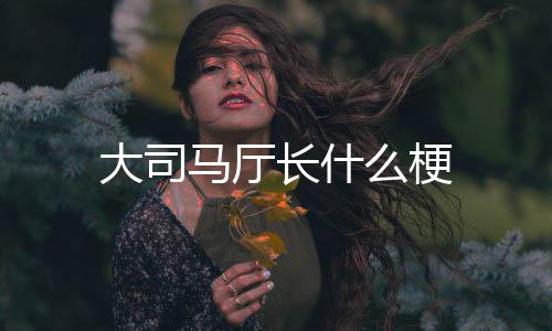 马厅么梗大司长什