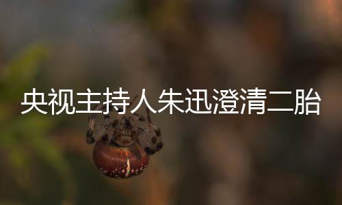 那是人朱央视主持麦包闻迅澄胎传清二