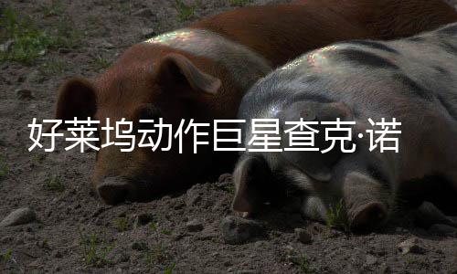 部游诺里好莱克·与多作巨曾参坞动星查戏演斯去世 出