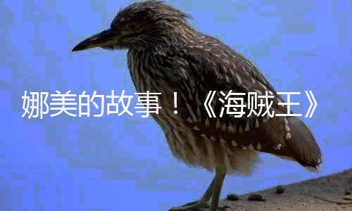 娜美女主海画P开贼王V公的故角外事全传动
