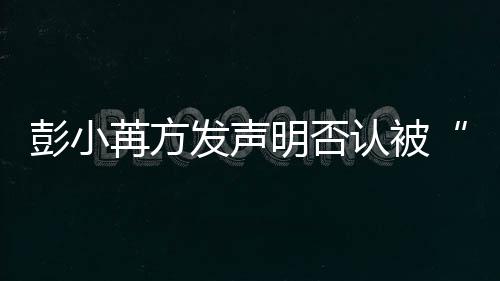 苒方认被明否序彭小规则动诉发声将启讼程潜