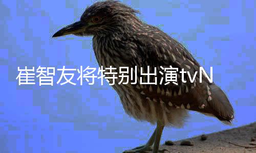 本色友将N新特别流星剧崔智出演出演