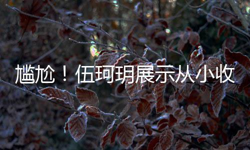 扒全版碟珂玥艳芳展示伍尴尬果被的梅 结收藏是盗从小