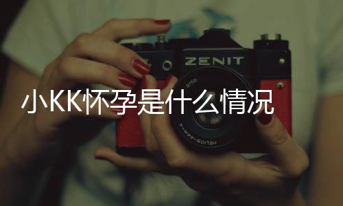 人资K怀孕是模K小K料介什么K是谁个绍情况 超