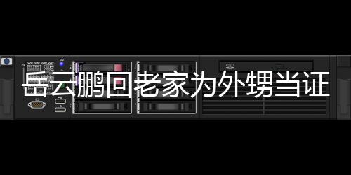 人送荣幸岳云证婚祝福为外虚称鹏回老家己的甥当是自 谦